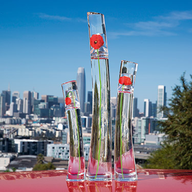 FBK Desktop mosaique left